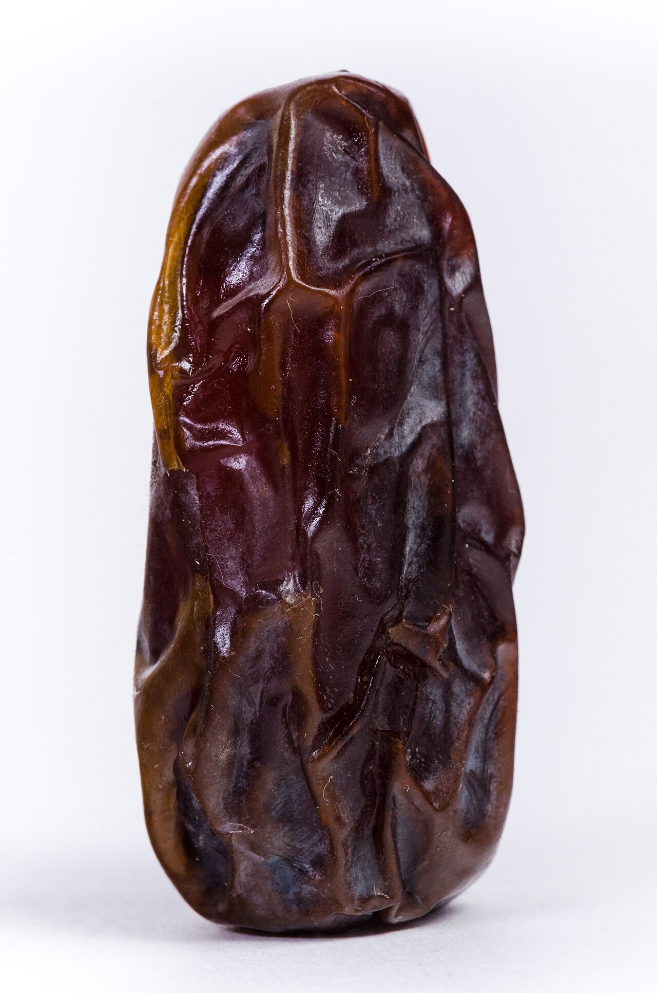 A single fresh Medjool date